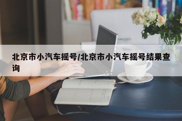 北京市小汽车摇号/北京市小汽车摇号结果查询