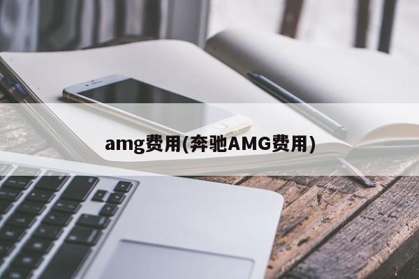 amg费用(奔驰AMG费用)