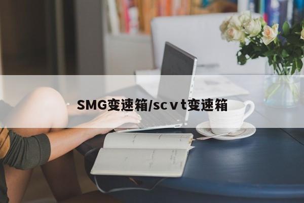 SMG变速箱/scⅴt变速箱