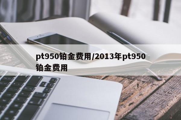 pt950铂金费用/2013年pt950铂金费用