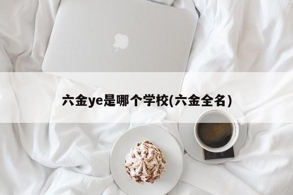 六金ye是哪个学校(六金全名)