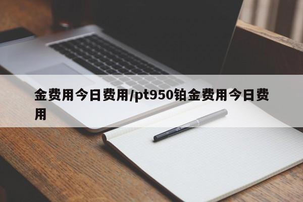 金费用今日费用/pt950铂金费用今日费用